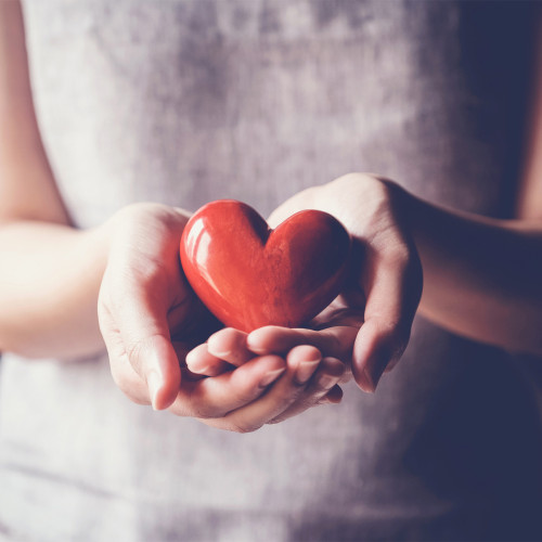 A pair of hands holding a heart shaped stress ball