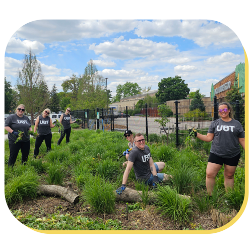a group of people pulling weeds