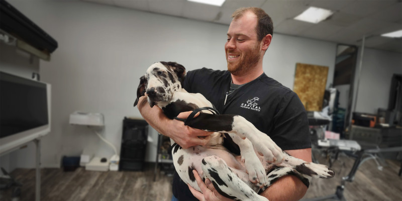 a man holds a cute dog