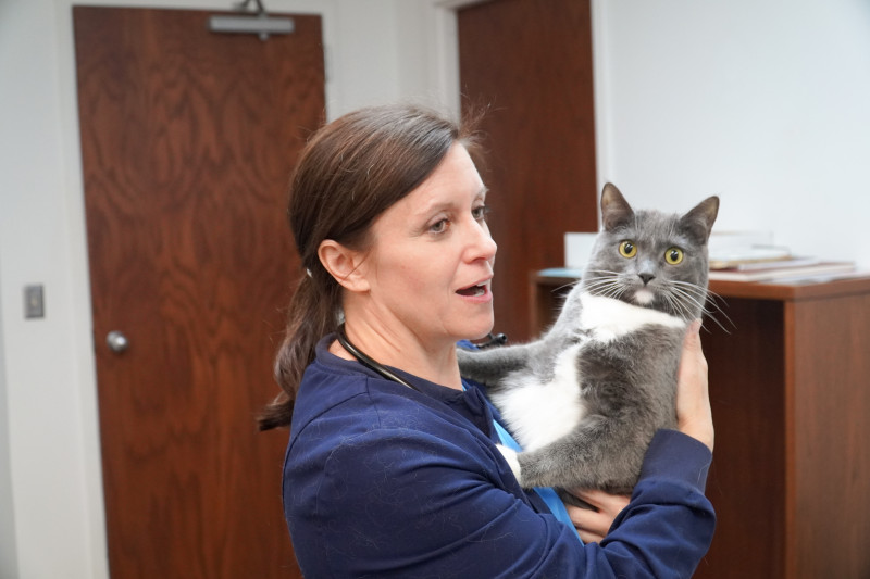 Dr. Knott and office cat Georgie 