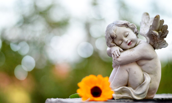 a concreate angel sits next to a flower