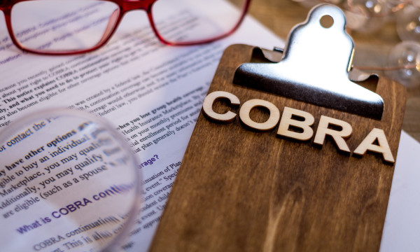 cobra on a clipboard with red glasses