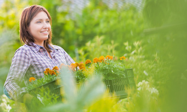 a woman carries carrots through a green field
