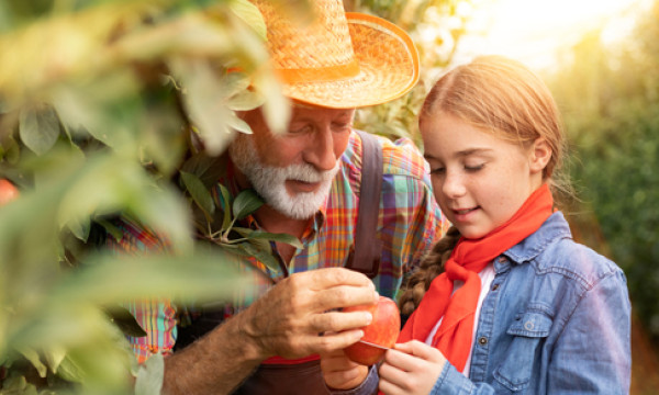 an older man stands with a young girl picking an apple off a tree