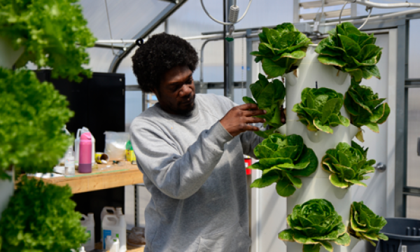 a man stands next to plants growing vertically inside